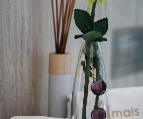 Amais Ofir Heart And Amais Ofir Soul - Twin Willa