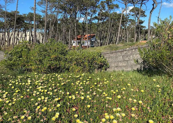 Amais Ofir Heart And Amais Ofir Soul - Twin Willa