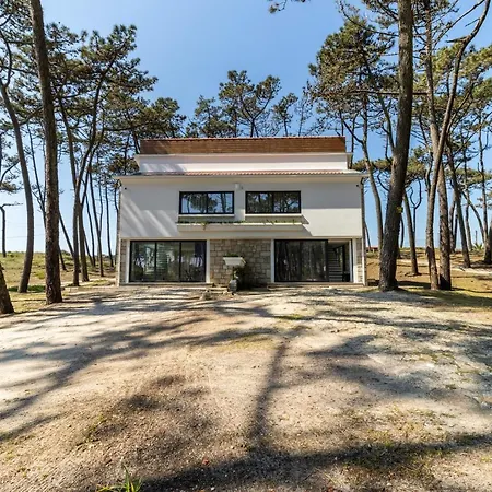 Amais Ofir Heart And Amais Ofir Soul - Twin *