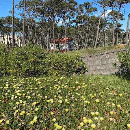 Amais Ofir Heart And Amais Ofir Soul - Twin Villa