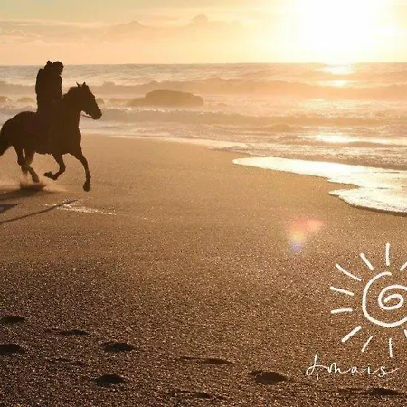 Villa Amais Ofir Heart And Amais Ofir Soul - Twin *