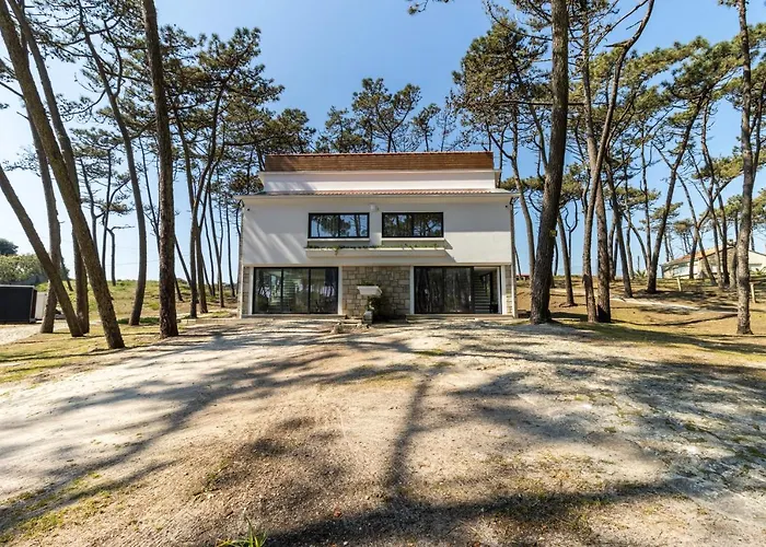 Amais Ofir Heart And Amais Ofir Soul - Twin *